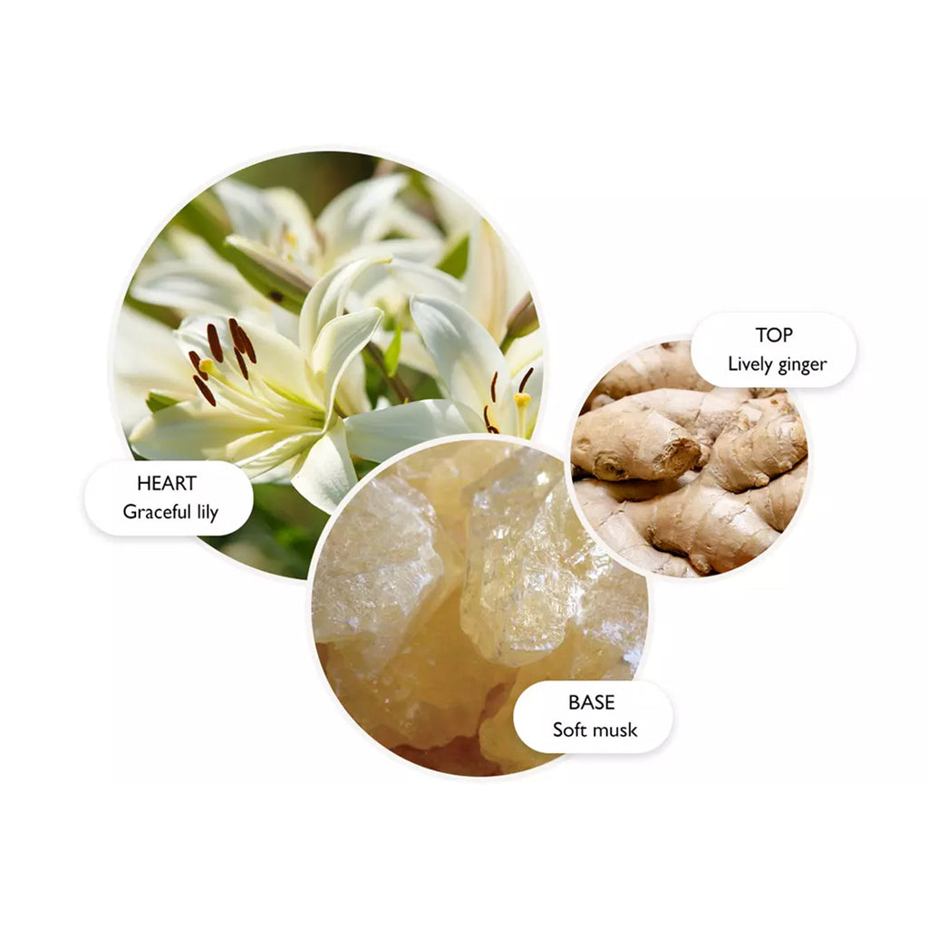 Heavenly Gingerlily Body Lotion 300ml