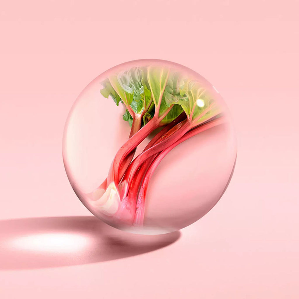 Delicious Rhubarb & Rose Aroma Reeds transparent/dunkelbraun