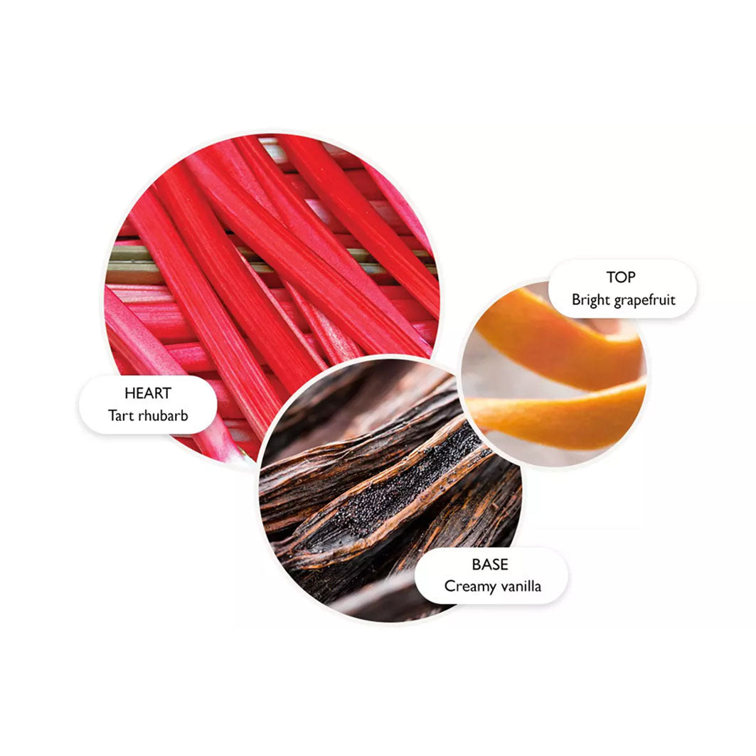 Delicious Rhubarb & Rose Aroma Reeds Refill transparent