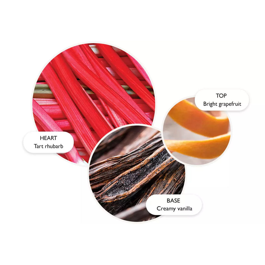 Delicious Rhubarb & Rose Signature Scented Candle (Single Wick) dunkelbraun