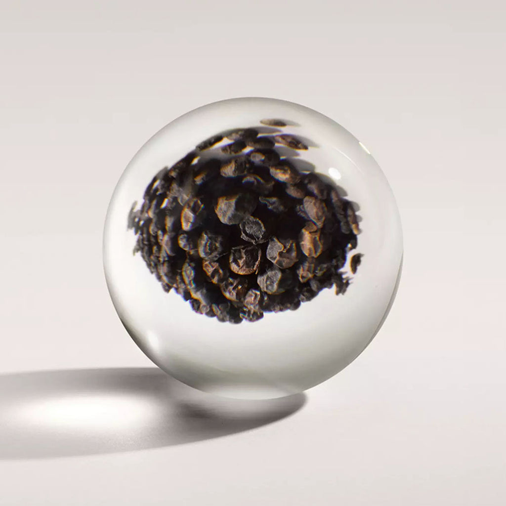 Re-Charge Black Pepper Signature Scented Candle (Single Wick) dunkelbraun