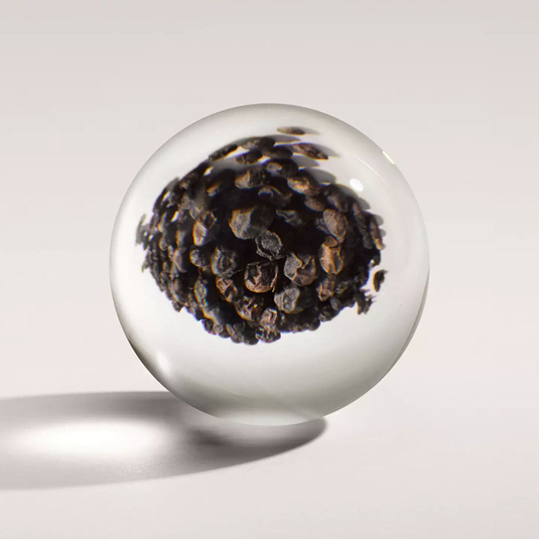 Re-Charge Black Pepper Signature Scented Candle (Single Wick) dunkelbraun