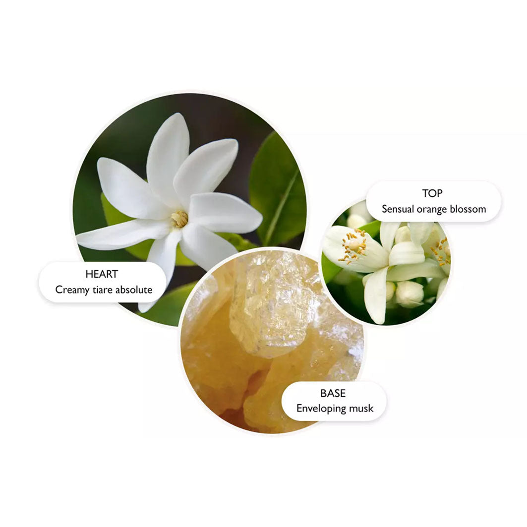 Flora Luminare Handlotion transparent