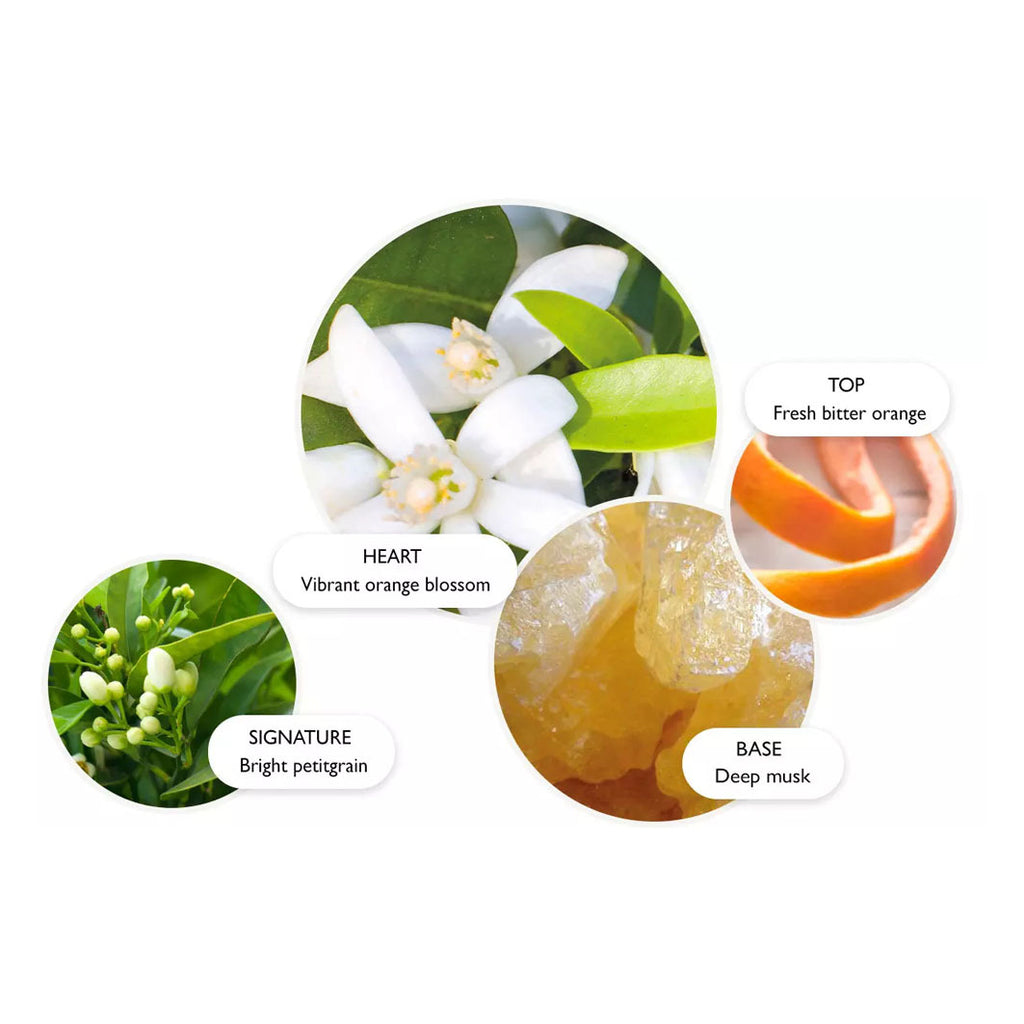 ORANGE & BERGAMOT EAU DE PARFUM dunkelbraun