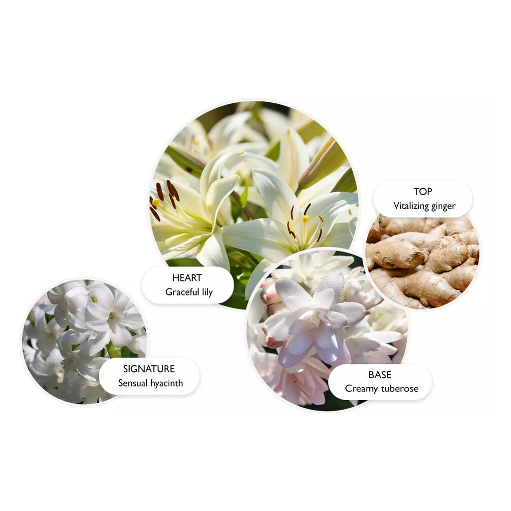 HEAVENLY GINGERLILY EAU DE PARFUM 100ML dunkelbraun
