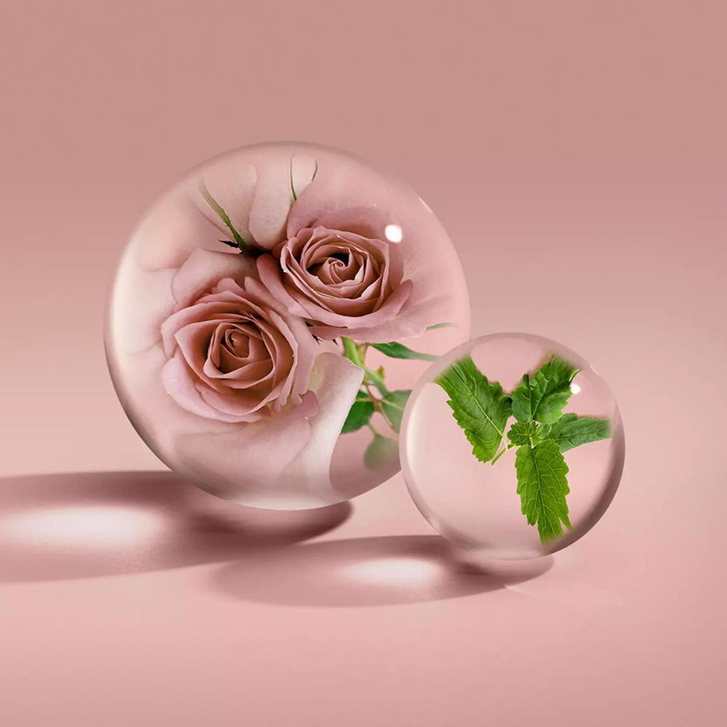 ROSE DUNES EAU DE PARFUM 100ML dunkelbraun