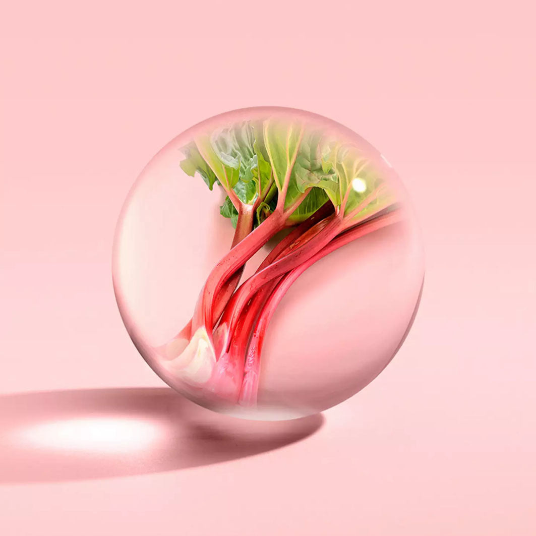 Delicious Rhubarb & Rose Eau de Parfum 100ml dunkelbraun
