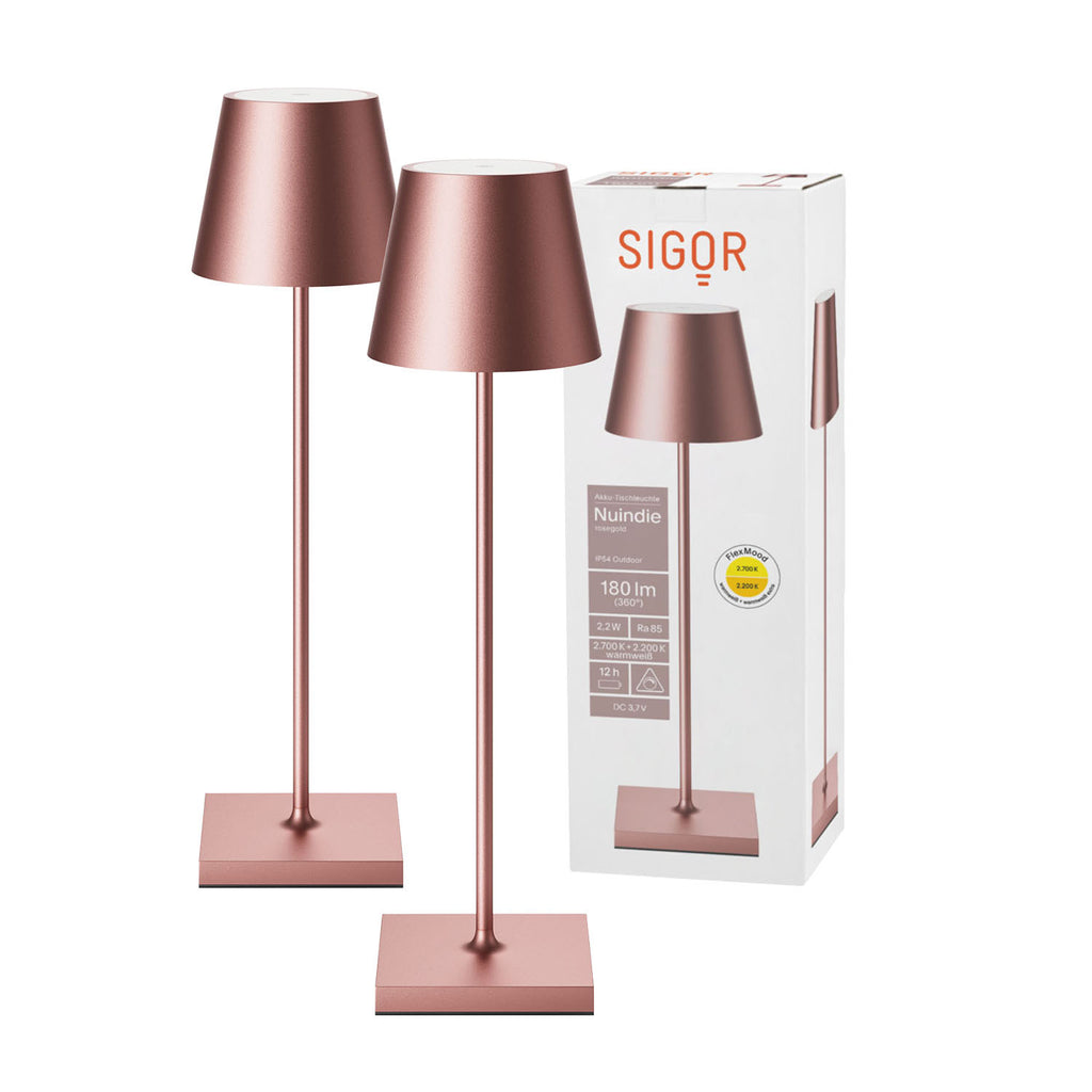 Doppelpack Nuindie Tischleuchte 2x Nuindie USB-C 380mm rosegold rosegold