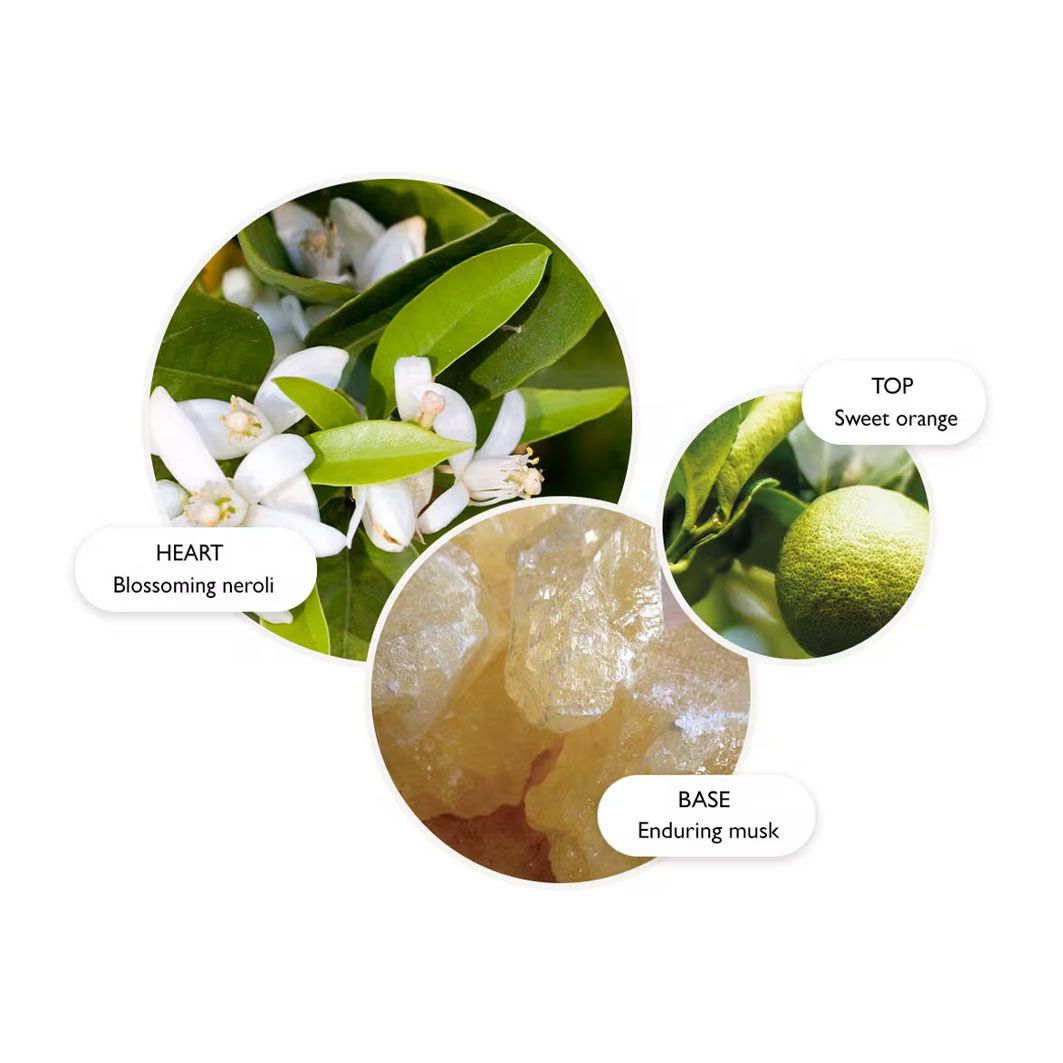 Orange & Bergamot Bade- und Duschgel 500ml gelb