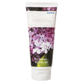 LILAC KÃ¶rpermilch farblos