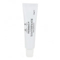 Toothpaste Spearmint Travel
